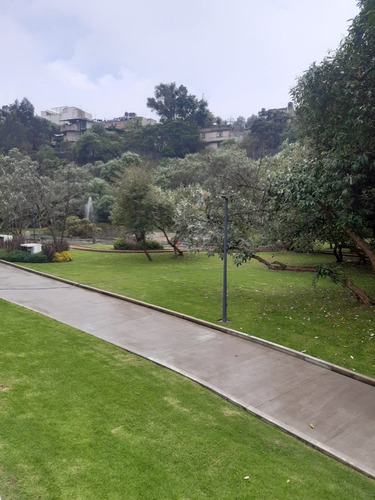 Imagen 14 de 21 de Departamento En Venta O Renta En Maranta Bosques, Cdmx