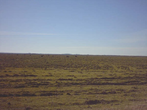 3.000 Hectáreas En Tacuarembó