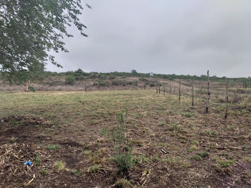 Venta De Terreno En Villa Santa Cruz Del Lago Codigo Vl3