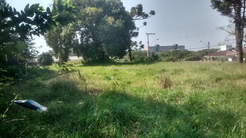 Imagem 10 de 15 de Terreno - Sao Jose - Ref: 46989 - V-46989