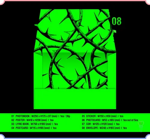 Txt - Álbum A Moment Of Stillness In The Thorns (thorn) | MercadoLivre