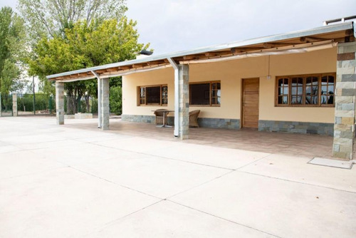Imagen 8 de 17 de Divina Quinta En San Rafael -viña, Ciruelos Y Chalet- 10has