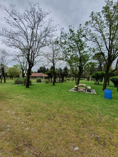 Imagen 9 de 10 de Campo De 23 Hs Sobre Ruta 6 Con 2900m2 Cubiertos