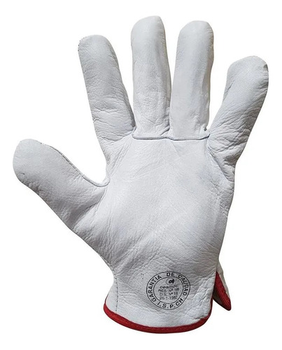 Guante Cabritilla Activex Sin Forro Pack 10 Und