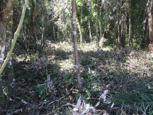 Imagem 4 de 4 de Terreno No Balneário Gaivota, Em Itanhaém, Com 415 M² De Área Total, Aceita Entrada E Parcelas