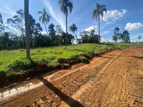 Imagem 2 de 7 de L40- Terreno Na Promoção