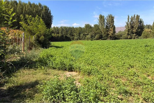 Venta Terreno Agrícola, Coltauco
