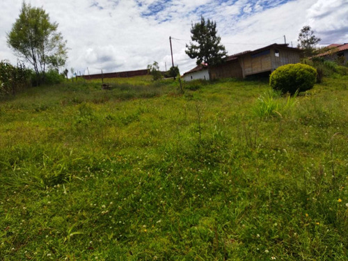 Imagen 7 de 30 de Linda Finca En Venta En La Vereda Betania Del Carmen De Viboral.