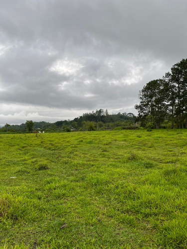 Imagem 13 de 14 de S12- Mega Oportunidade Para Adquirir Seu Lote No Interior