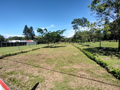 Imagen 2 de 12 de Venta De Lotes En Pérez Zeledón, Calle Foster, Los Chiles