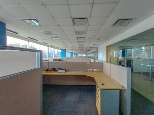 Imagen 11 de 30 de Oficinas En Alquiler 4240 M2 En Edificio Lumina Thames San Isidro, Certificacion Leed Green Buiding