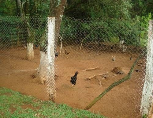 Linda Chácara A Venda Na Estancia Paraíso - Cesário Lange/sp - 72