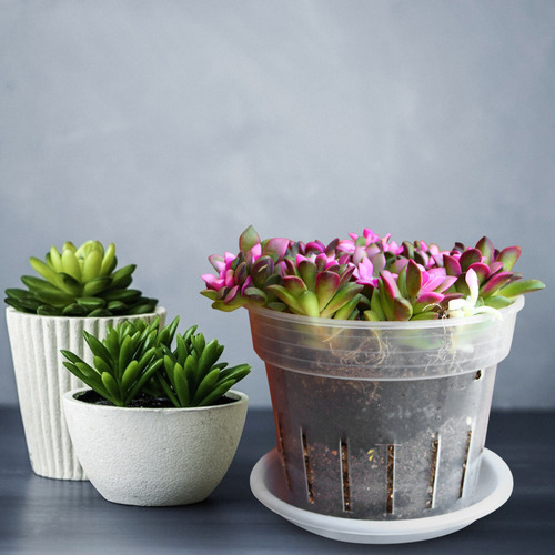 Macetas De Vivero Para Jardinería, Macetas Para Plantar Orqu