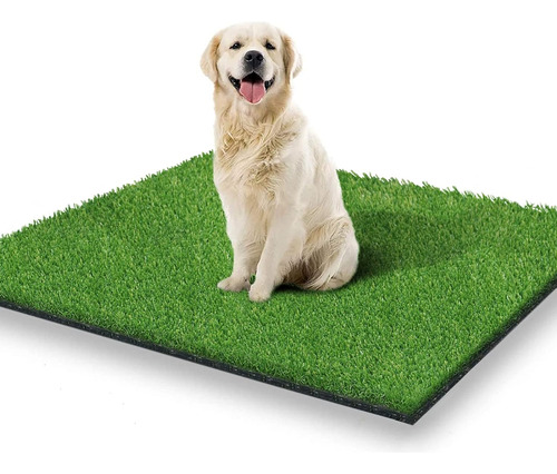 Alfombra De Cesped Para Perros 39 3 X 31 5â Pulgadas Para In