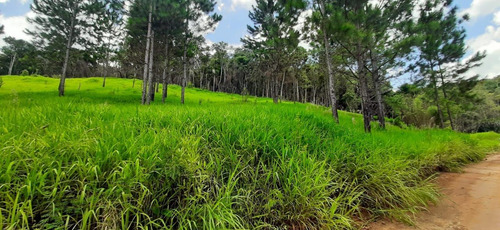 Imagem 2 de 13 de Vendo Terrenos No Interior - 1000m² - Construa Ao Seu Estilo