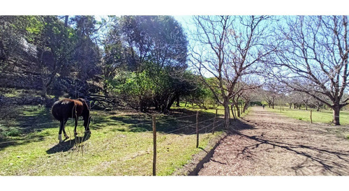 Imagen 29 de 30 de Venta. 67 Hectareas En Candonga, Cordoba. Con 2 Km De Costa De Rio. Titulos Perfectos
