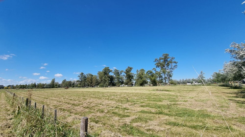 Imagen 9 de 11 de Lote De 7000 M2 En Chacras De Abbott