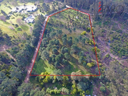 Imagen 3 de 3 de Terreno En Rincón Del Indio 2 Hectáreas - Punta Del Este Rincón Del Indio