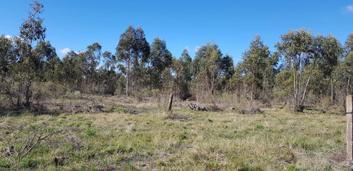 Chacra 3 Has En Venta En Ruta 6 Km 43.600 Paraje Matasiete