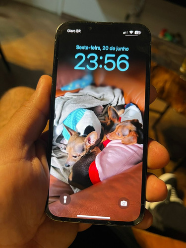 Apple Iphone 13 Pro Usado Bat 100% Verde-alpino (Usado)