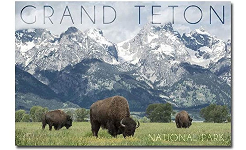 Imán Parque Nacional Grand Teton, Wyoming Buffalo & Mountain