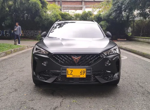 Cupra formentor 2.0 Tsi Metalizado Dsg