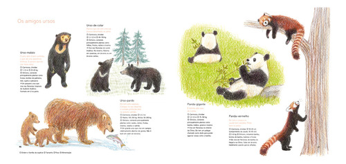 Como Desenhar Animais Com Lápis De Cor