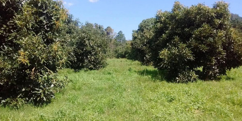 Terreno En Villa Madero San Pedro Michoacán.