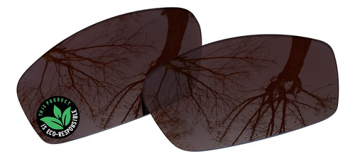 Lentes De Reemplazo De Policarbonato De Raydi Para Gafas De