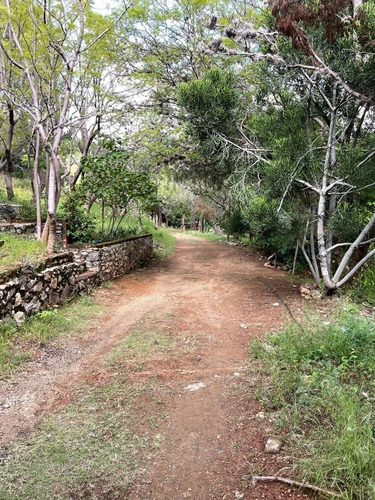Imagen 8 de 21 de Mina Con Huerta, Cabañas Y Manantial En Guanajuato