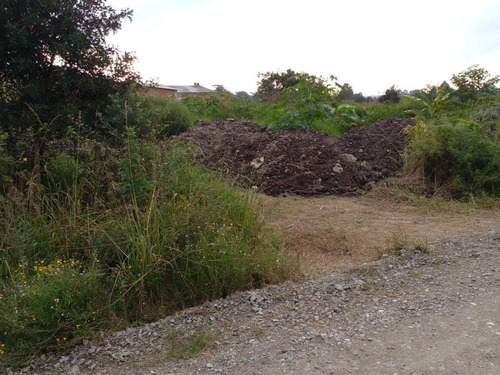 Imagem 10 de 10 de Terreno Para Venda Em Piraquara, Parque Das Araucárias - 3375_1-2413913