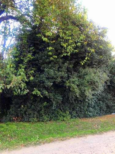 Imagen 2 de 2 de Cañuelas -lote En Venta ! Oportunidad !!!