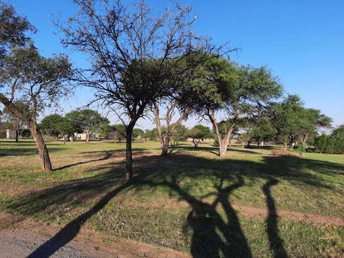 Lote Central En Estacion Del Carmen 