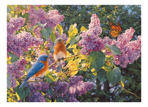 Rompecabezas Flores Y Pajaros De Primavera 500pz Cobble Hill