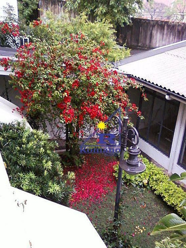Casa Residencial À Venda, Perdizes, São Paulo. - Ca0287