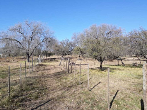 Lotes En Venta En Villa Parque Siquiman A 200 Metros De Ruta 38. (l61)