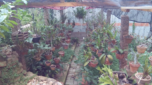 Oportunidade !!! Casa Condomínio Fechado, São José Do Ribeirão, Cafezal 7 , Itupeva - Ca01702 - 68916482