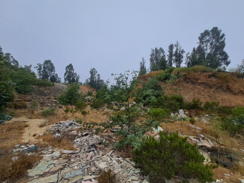 Venta Terreno Industrial, Valparaíso Id 56.253-lin
