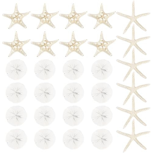 30 Piezas De Dólares De Arena Blancos Y Estrellas De M...