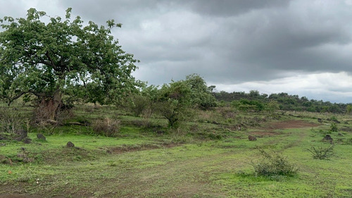 Terrenos Rusticos. A 20 Minutos De Oaxtepec.
