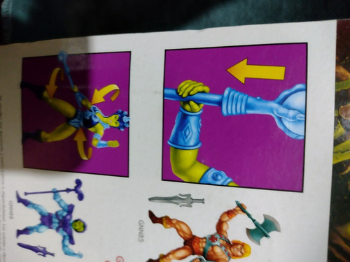 Masters Of The Universe Evil-lyn Maligna (Usado)