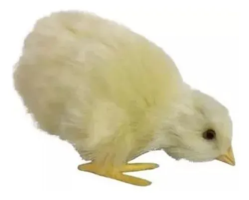 2 Pollitos Peluche Realista Felpa Sintetica Adorno Pollos