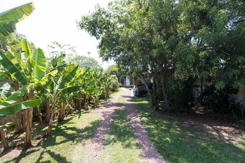 Casa Em Ponta Grossa Com 3 Dormitórios - Lu430278