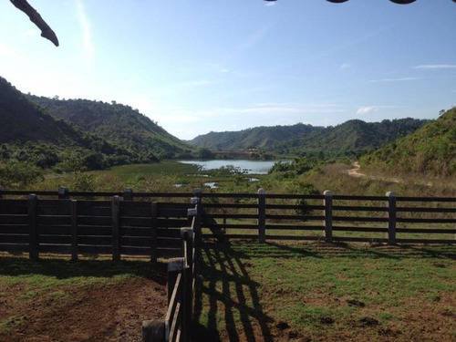 Imagem 5 de 5 de Fazenda Para Venda Em Buriticupu, Buriticupu - 3001/18