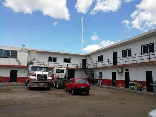 Imagen 6 de 12 de Galpón Industrial En Urb. Campo Solo, Og-062