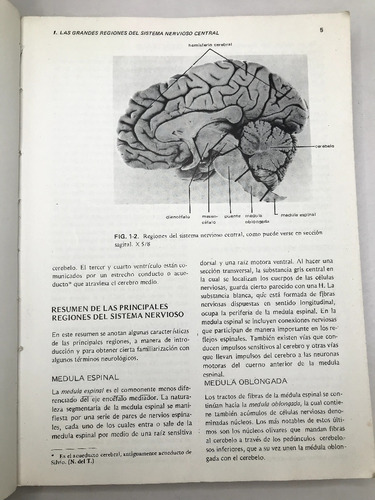 El Sistema Nervioso Humano Un Punto De Vista Anatómico Barr (Usado)