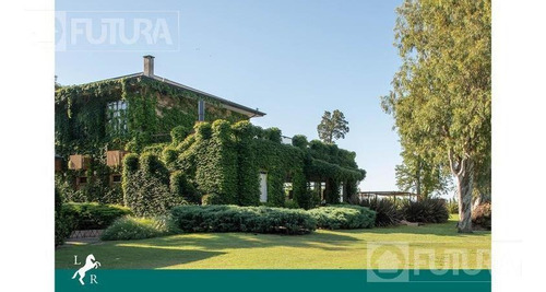Imagen 8 de 14 de Lote144 - Golf - La Rinconada, Ibarlucea
