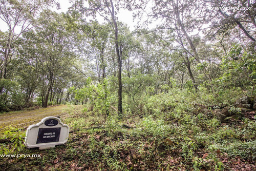 Terreno En Venta Reserva De Los Encinos, Teuchitlán