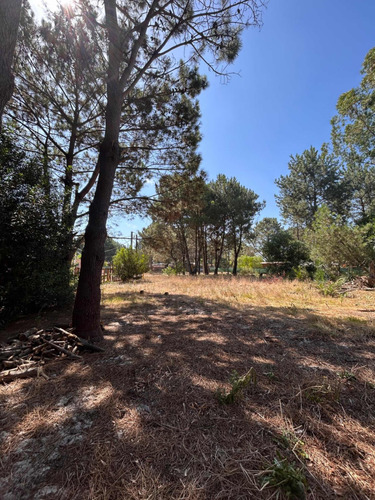 Terreno Con Mejora En Pinamar Norte 600m2