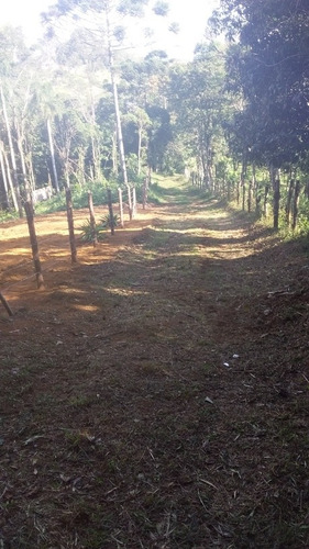Chacara 5 Mil Mts São Lourenço Da Serra Próx Sp,aceito Carro